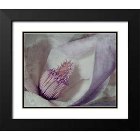 Lavender Explosion 4 Black Modern Wood Framed Art Print with Double Matting by Prime, Marcus