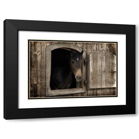 Loving Peek 1 Black Modern Wood Framed Art Print with Double Matting by Prime, Marcus