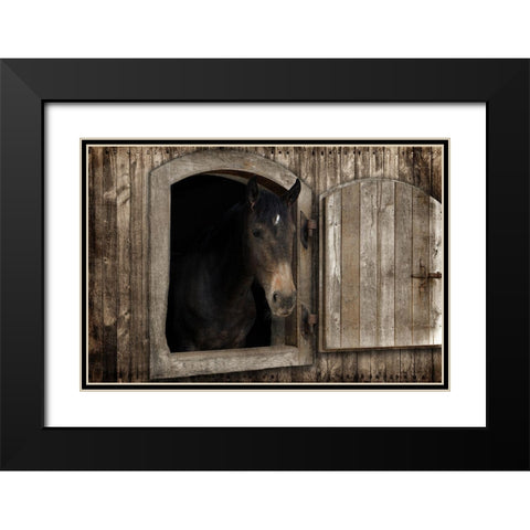 Loving Peek 1 Black Modern Wood Framed Art Print with Double Matting by Prime, Marcus