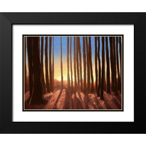 Creeping Shadows 2 Black Modern Wood Framed Art Print with Double Matting by Prime, Marcus