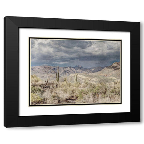Desert Oasis Black Modern Wood Framed Art Print with Double Matting by Prime, Marcus