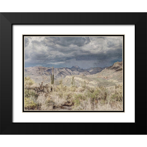 Desert Oasis Black Modern Wood Framed Art Print with Double Matting by Prime, Marcus