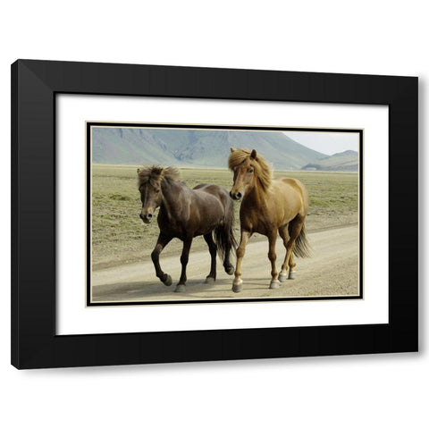 Buddy Gallop Black Modern Wood Framed Art Print with Double Matting by Prime, Marcus