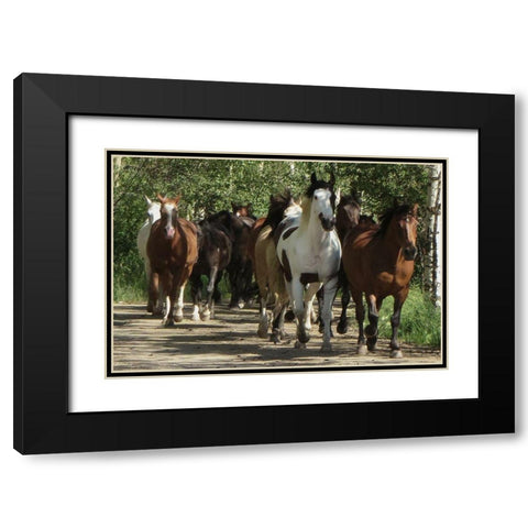 Galloping Friends Black Modern Wood Framed Art Print with Double Matting by Prime, Marcus