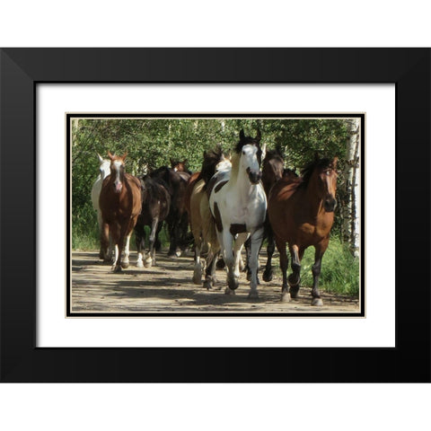 Galloping Friends Black Modern Wood Framed Art Print with Double Matting by Prime, Marcus