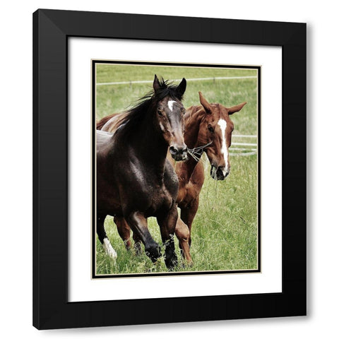 Free Spirits 1 Black Modern Wood Framed Art Print with Double Matting by Prime, Marcus