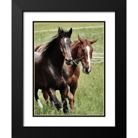 Free Spirits 1 Black Modern Wood Framed Art Print with Double Matting by Prime, Marcus