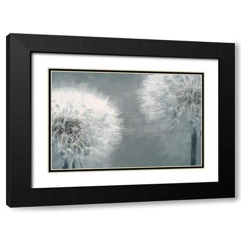 Moonlit Dandelions 1 Black Modern Wood Framed Art Print with Double Matting by Prime, Marcus