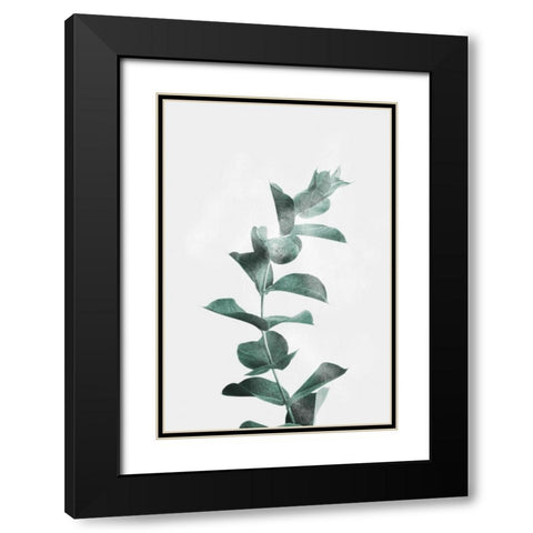 Misty Eucalyptus Black Modern Wood Framed Art Print with Double Matting by Prime, Marcus