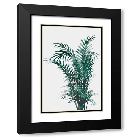 Windy Fern Black Modern Wood Framed Art Print with Double Matting by Prime, Marcus