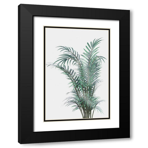 Misty Fern Black Modern Wood Framed Art Print with Double Matting by Prime, Marcus