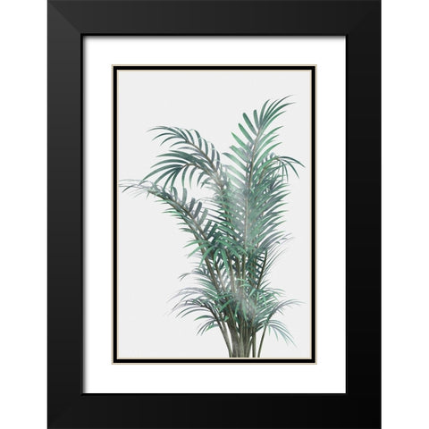 Misty Fern Black Modern Wood Framed Art Print with Double Matting by Prime, Marcus