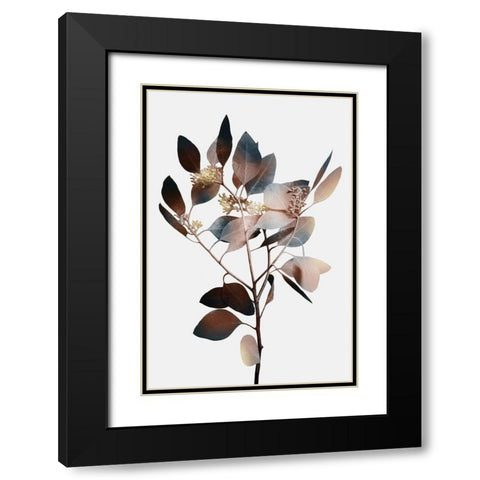 Autumn Eucalyptus 1 Black Modern Wood Framed Art Print with Double Matting by Prime, Marcus
