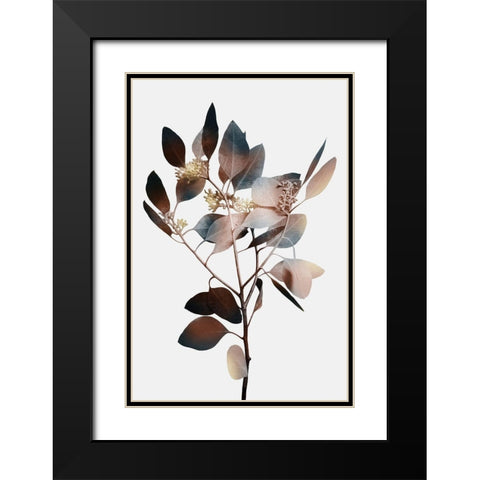 Autumn Eucalyptus 1 Black Modern Wood Framed Art Print with Double Matting by Prime, Marcus