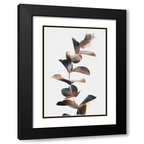 Autumn Eucalyptus 2 Black Modern Wood Framed Art Print with Double Matting by Prime, Marcus