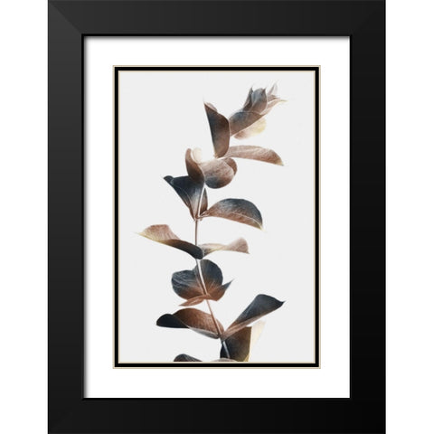 Autumn Eucalyptus 2 Black Modern Wood Framed Art Print with Double Matting by Prime, Marcus
