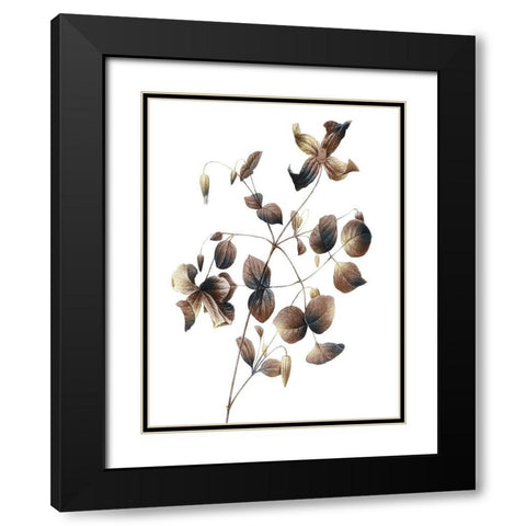 Autumn Balance 2 Black Modern Wood Framed Art Print with Double Matting by Prime, Marcus