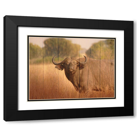 Strolling Fella Black Modern Wood Framed Art Print with Double Matting by Prime, Marcus