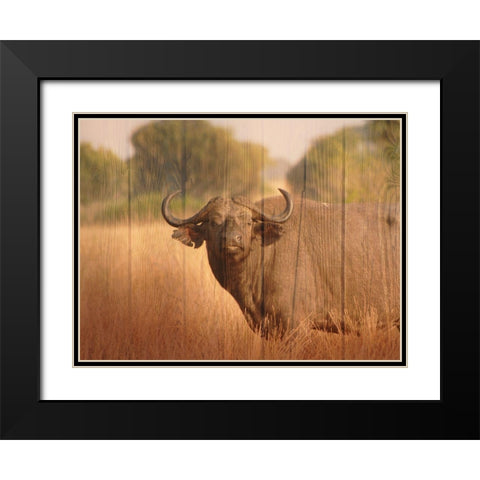 Strolling Fella Black Modern Wood Framed Art Print with Double Matting by Prime, Marcus