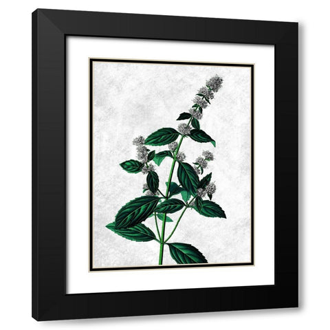 Striking Growth Black Modern Wood Framed Art Print with Double Matting by Prime, Marcus