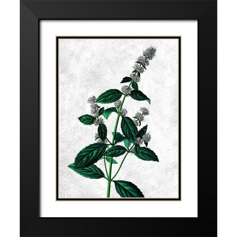 Striking Growth Black Modern Wood Framed Art Print with Double Matting by Prime, Marcus