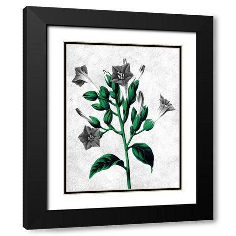 Striking Growth 2 Black Modern Wood Framed Art Print with Double Matting by Prime, Marcus
