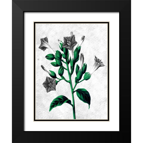 Striking Growth 2 Black Modern Wood Framed Art Print with Double Matting by Prime, Marcus