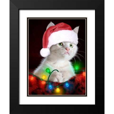 Christmas Kitten Black Modern Wood Framed Art Print with Double Matting by Prime, Marcus
