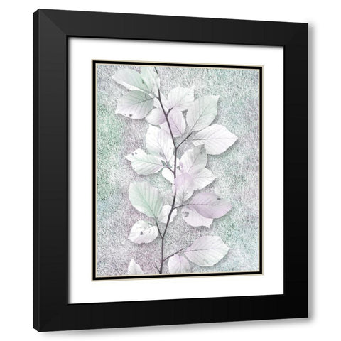 Spring Beauty 1 Black Modern Wood Framed Art Print with Double Matting by Prime, Marcus