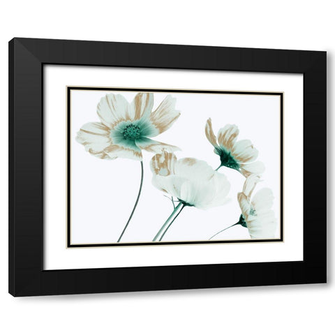 Jaded Metallic 1 Black Modern Wood Framed Art Print with Double Matting by Prime, Marcus