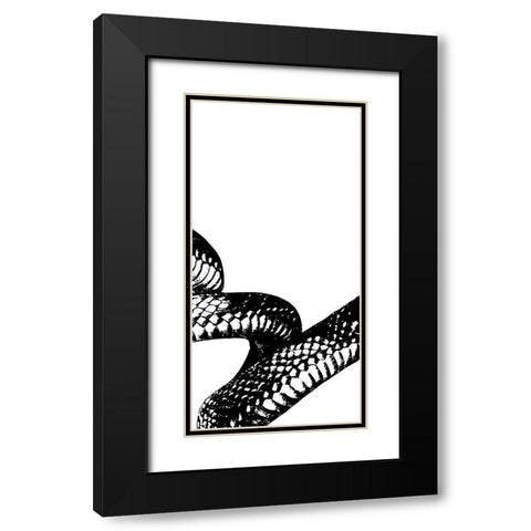 Snake Bite 2 Black Modern Wood Framed Art Print with Double Matting by Prime, Marcus