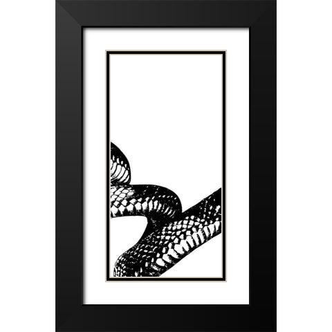 Snake Bite 2 Black Modern Wood Framed Art Print with Double Matting by Prime, Marcus