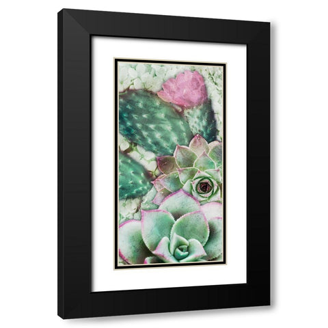 Springtime Succulents 3 Black Modern Wood Framed Art Print with Double Matting by Prime, Marcus