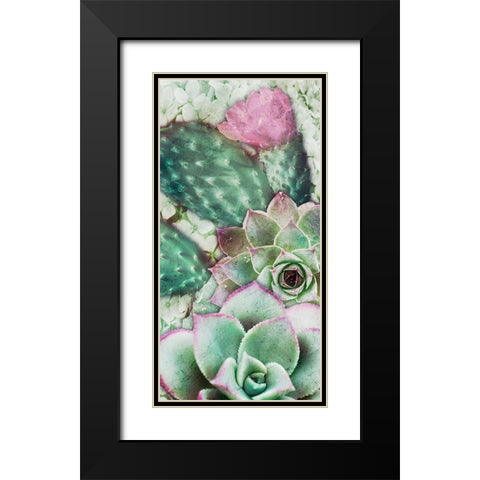 Springtime Succulents 3 Black Modern Wood Framed Art Print with Double Matting by Prime, Marcus