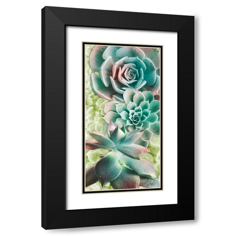 Adored Succulents 6 Black Modern Wood Framed Art Print with Double Matting by Prime, Marcus