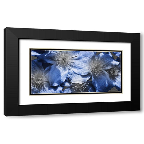 Indigo Wild 1 Black Modern Wood Framed Art Print with Double Matting by Prime, Marcus