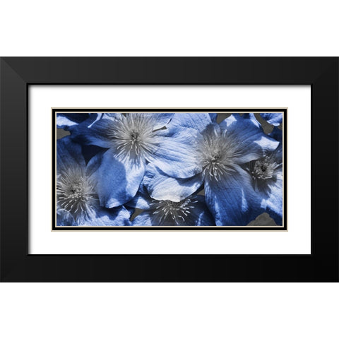 Indigo Wild 1 Black Modern Wood Framed Art Print with Double Matting by Prime, Marcus