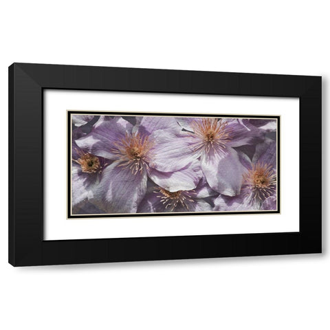 Lavender Explosion 3 Black Modern Wood Framed Art Print with Double Matting by Prime, Marcus