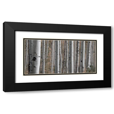 Birch Dream Black Modern Wood Framed Art Print with Double Matting by Prime, Marcus