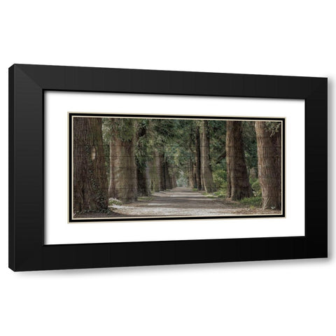 Wilderness Stroll Black Modern Wood Framed Art Print with Double Matting by Prime, Marcus