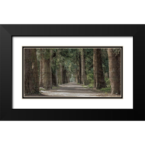Wilderness Stroll Black Modern Wood Framed Art Print with Double Matting by Prime, Marcus