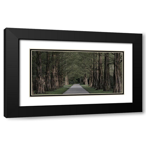 Freedom Road Black Modern Wood Framed Art Print with Double Matting by Prime, Marcus