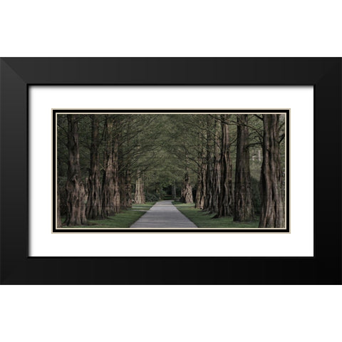 Freedom Road Black Modern Wood Framed Art Print with Double Matting by Prime, Marcus