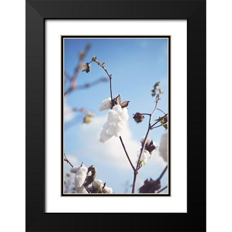 Cotton Fields Black Modern Wood Framed Art Print with Double Matting by Reed, Michele