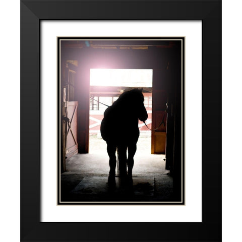 Horse Silhouette Black Modern Wood Framed Art Print with Double Matting by Reed, Michele