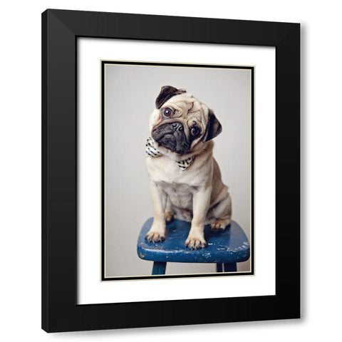 Ari Bowtie Black Modern Wood Framed Art Print with Double Matting by Reed, Michele