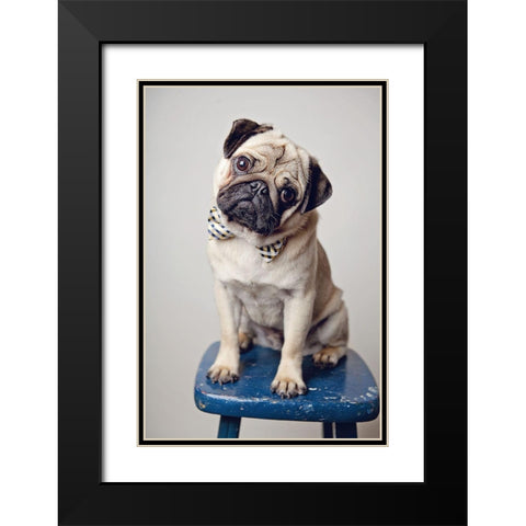 Ari Bowtie Black Modern Wood Framed Art Print with Double Matting by Reed, Michele