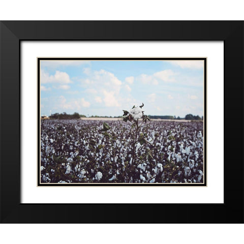 Heavy Cotton Field Black Modern Wood Framed Art Print with Double Matting by Reed, Michele