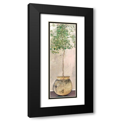 Dracaena Black Modern Wood Framed Art Print with Double Matting by Miller, Savannah