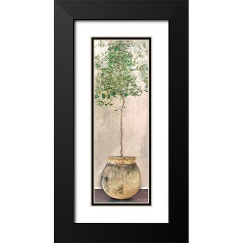 Dracaena Black Modern Wood Framed Art Print with Double Matting by Miller, Savannah